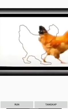 Tangkap ayam dan Sapi - Screenshot 3