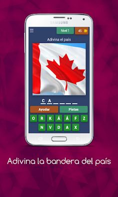 Adivina la bandera del país - Screenshot 1