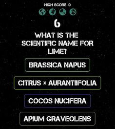 Fruits Game Scientific Name - Screenshot 3