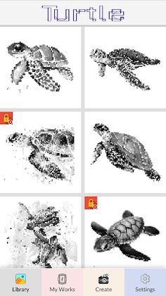 Turtle Pixel Number - Screenshot 1