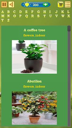 Flowers Quiz - Screenshot 4