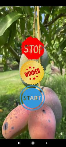 Mango game - Screenshot 1