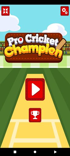 Cricket Hero - Screenshot 2