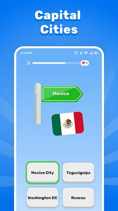 Flags of the World Map Quiz - Screenshot 4