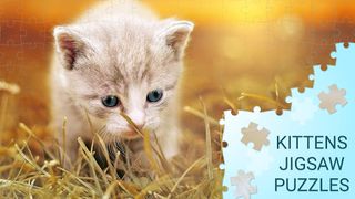 Kittens jigsaw puzzles games - Screenshot 2