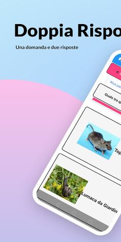 Doppia Risposta - Screenshot 1