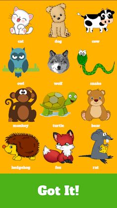 Master Of All - Screenshot 1