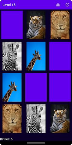 MichMatch: The Secret Journey - Screenshot 1