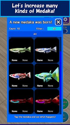 Medaka Breeder - Screenshot 3