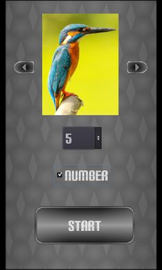 slide puzzle birds - Screenshot 1