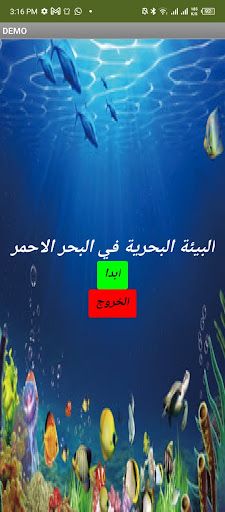 The RedSea - Screenshot 2