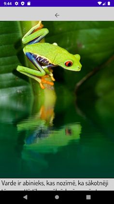 PaZiloDebesuTacinu - Screenshot 4