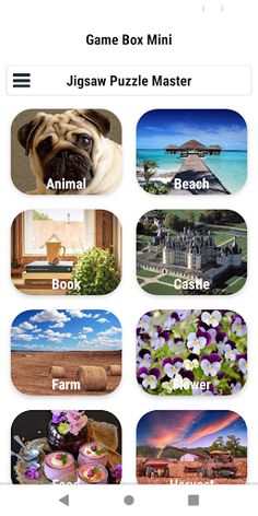 Jigsaw Puzzle Master - Screenshot 1
