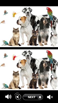 Find 4 Difference - Screenshot 4