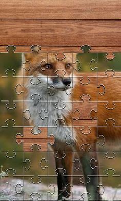 Fox Jigsaw Puzzles Games - Screenshot 3