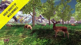 Real Mushroom Hunting Simulato - Screenshot 3