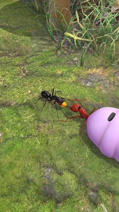 Earth Ants Calony - Screenshot 3