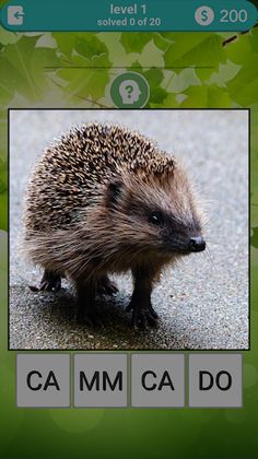 760 words - Screenshot 4