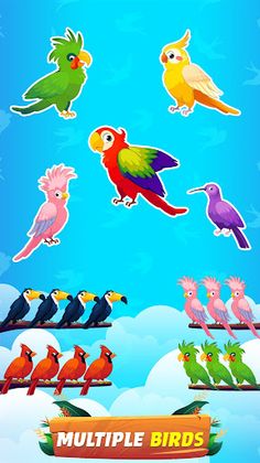 Bird Sort - Color Birds Game - Screenshot 1