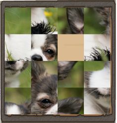 강아지 슬라이드 퍼즐 Cute Puppy Sliding - Screenshot 3