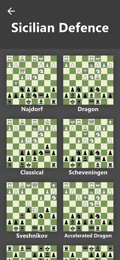 Chessbit - Screenshot 3