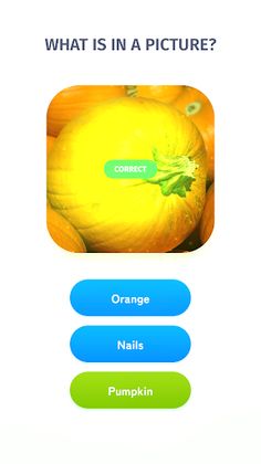 What is it? - Screenshot 2