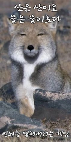 스님과 함께 - Screenshot 4