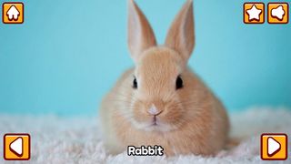 Animal friends in my hand - Screenshot 2