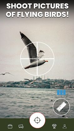 Shoot & Release: Camera Hunter - Screenshot 2