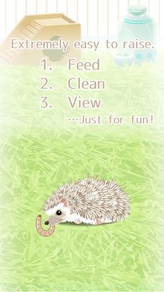 Hedgehog Pet - Screenshot 2