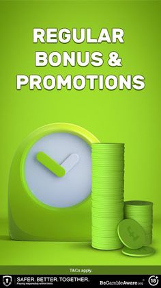 BingoIceland - Screenshot 3