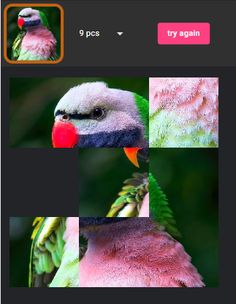 Brain Sliding Puzzle - Screenshot 3