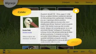 Migracje - Screenshot 2