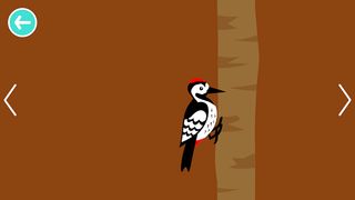 Black White Animals for Babies - Screenshot 1