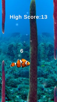 Clown Fish - Screenshot 1