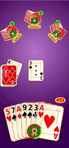 Yaniv 11 - Screenshot 2