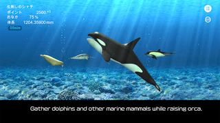 Orca  and marine mammals - Screenshot 1