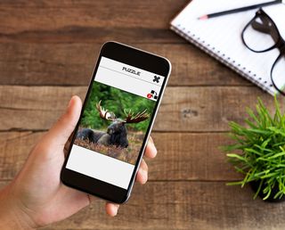 Animal Slide Puzzle - Screenshot 1