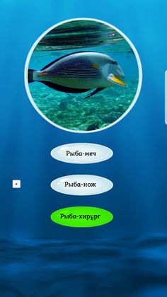Загадки о рыбах - Screenshot 2