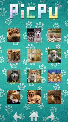PicPu - Dog Picture Puzzle - Screenshot 1
