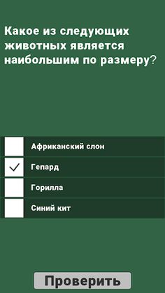 Всякий квиз - Screenshot 1