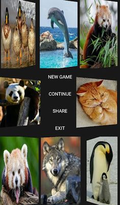 MatchUs - Screenshot 1