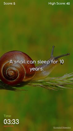 True or False | Quiz game with - Screenshot 4