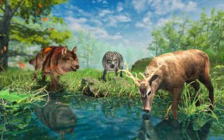 Wolf Simulator : Wild Jungle - Screenshot 1