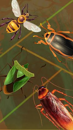 Hyper Evolution DNA Simulator - Screenshot 2