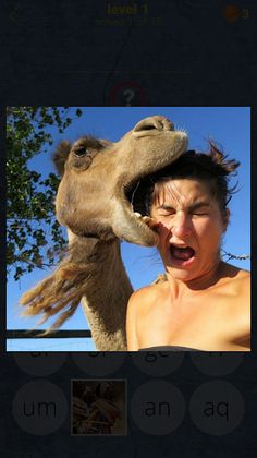 650 Words - Screenshot 4