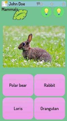 Animals Kingdom Quiz - Screenshot 1