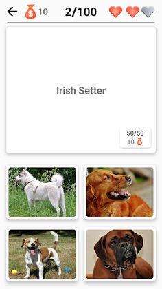 Dog Breeds - Quiz about dogs! - Screenshot 4