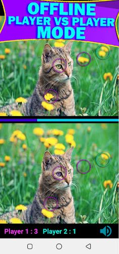 Find the Difference - Spot it - Screenshot 3