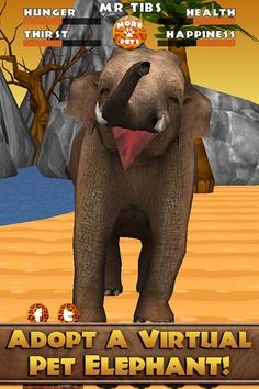 Virtual Pet Elephant - Screenshot 1